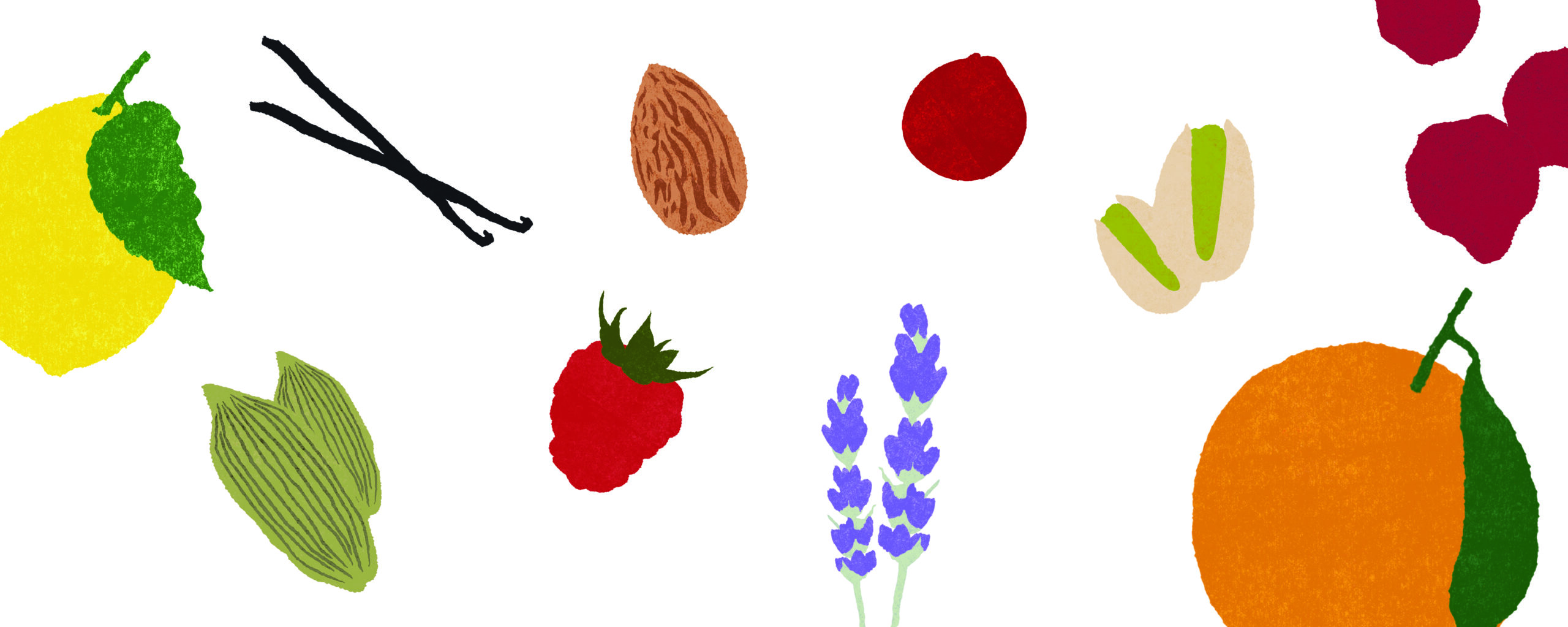 Illustrations Illustrations